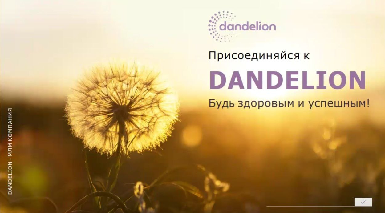маркетинг dandelion