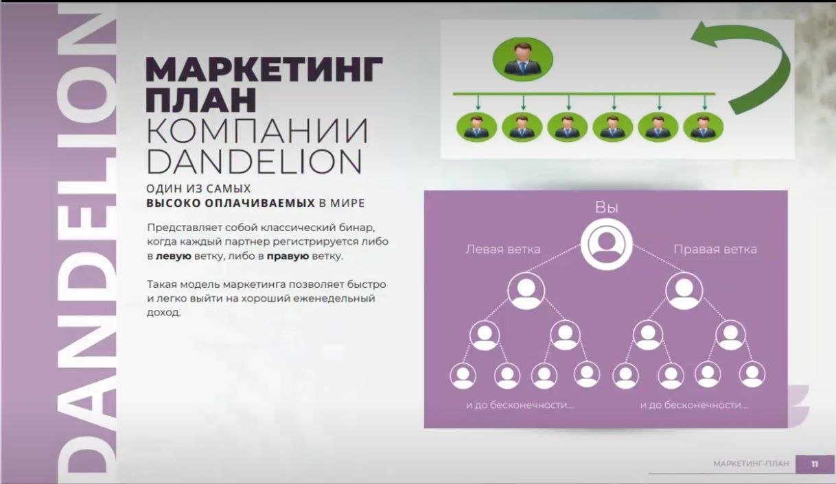 Почему маркетинг-план Dandelion лучше, чем у других компаний? Высокие и прозрачные выплаты – конкурентные % с продаж и бонусы за активность. Простота и доступность – лёгкий старт даже для новичков, минимум условий для вывода средств. Многоуровневая система – доход не только со своих клиентов, но и с команды. Автоматизация процессов – моментальные начисления и удобный личный кабинет. Эксклюзивные промоматериалы – готовые креативы, landing page и инструменты для продвижения. Поддержка 24/7 – обучение, помощь в настройке рекламы и быстрые ответы на вопросы. Гибкость – подходит для разных бизнес-моделей (CPA, RevShare, гибридные схемы). Dandelion даёт больше возможностей для стабильного заработка без лишних сложностей! 💎🔥 Почему маркетинг-план Dandelion лучше, чем у других компаний? Высокие и прозрачные выплаты – конкурентные % с продаж и бонусы за активность. Простота и доступность – лёгкий старт даже для новичков, минимум условий для вывода средств. Многоуровневая система – доход не только со своих клиентов, но и с команды. Автоматизация процессов – моментальные начисления и удобный личный кабинет. Эксклюзивные промоматериалы – готовые креативы, landing page и инструменты для продвижения. Поддержка 24/7 – обучение, помощь в настройке рекламы и быстрые ответы на вопросы. Гибкость – подходит для разных бизнес-моделей (CPA, RevShare, гибридные схемы). Dandelion даёт больше возможностей для стабильного заработка без лишних сложностей! 💎🔥