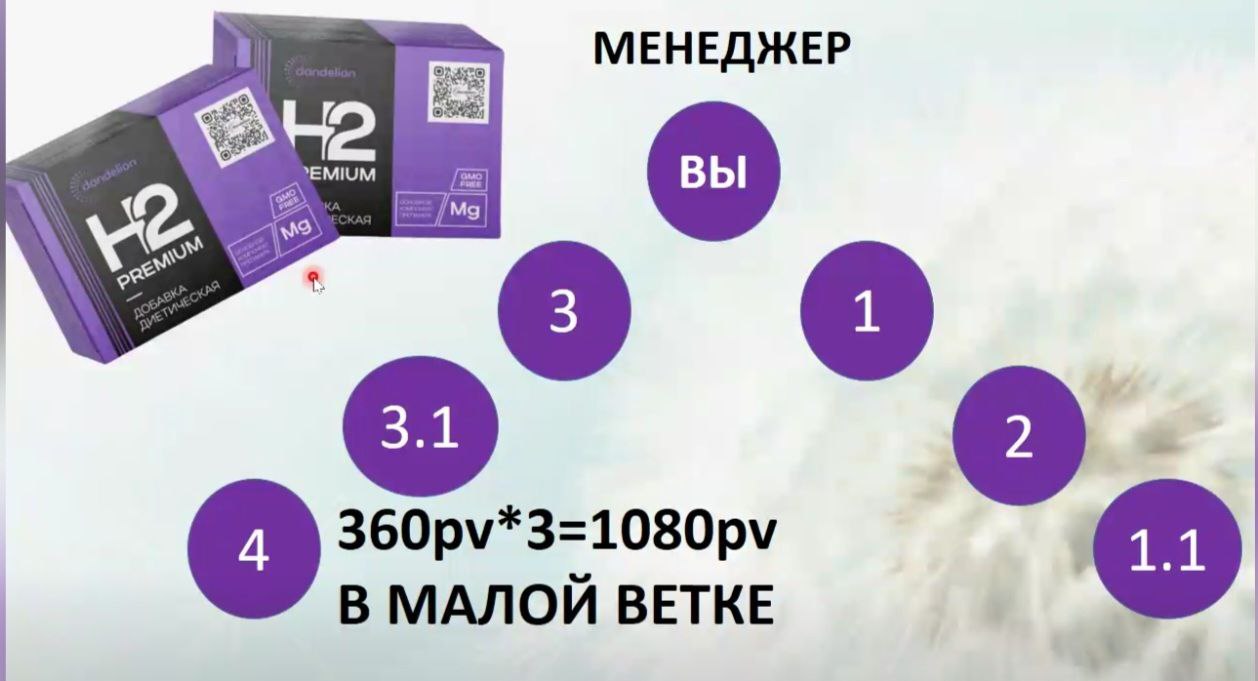 данделион маркетинг план dandelion партнерская программа компенсационный план данделион маркетинг план dandelion партнерская программа компенсационный план