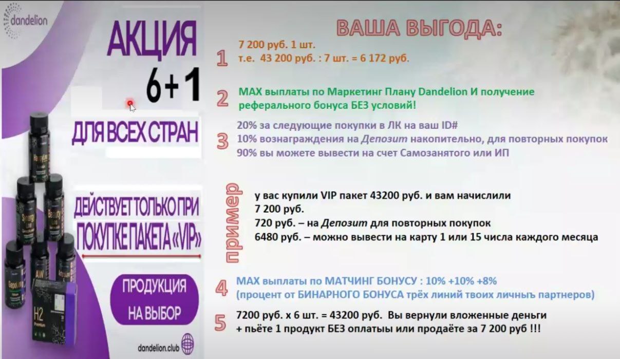 данделион маркетинг план dandelion партнерская программа компенсационный план данделион маркетинг план dandelion партнерская программа компенсационный план