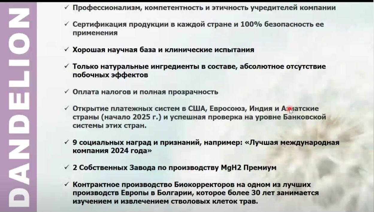 данделион маркетинг план dandelion партнерская программа компенсационный план данделион маркетинг план dandelion партнерская программа компенсационный план