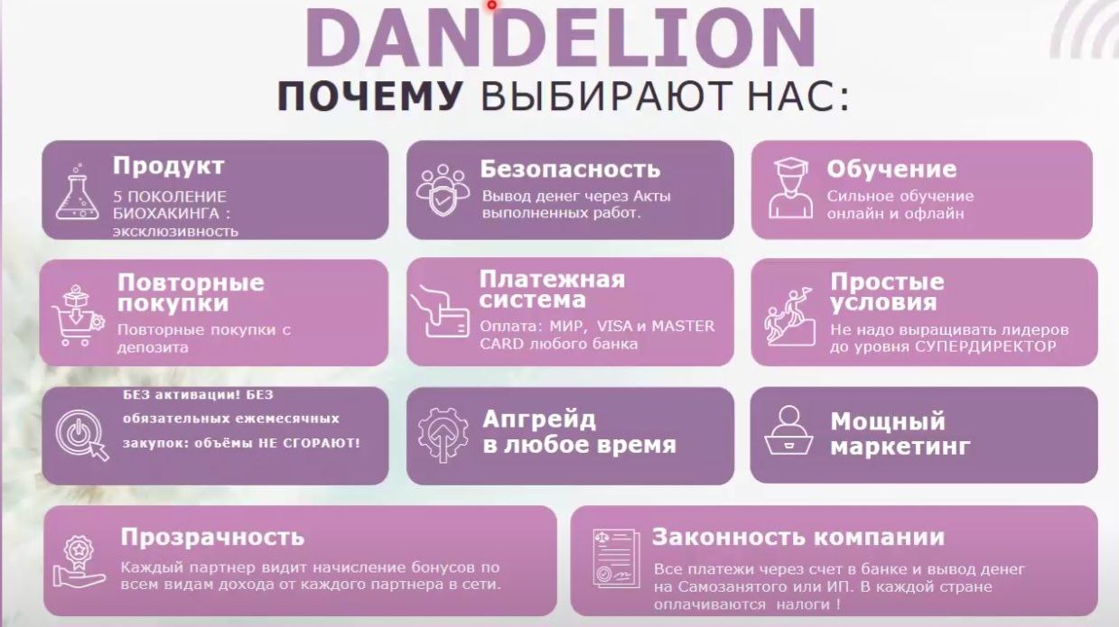 данделион маркетинг план dandelion партнерская программа компенсационный план данделион маркетинг план dandelion партнерская программа компенсационный план