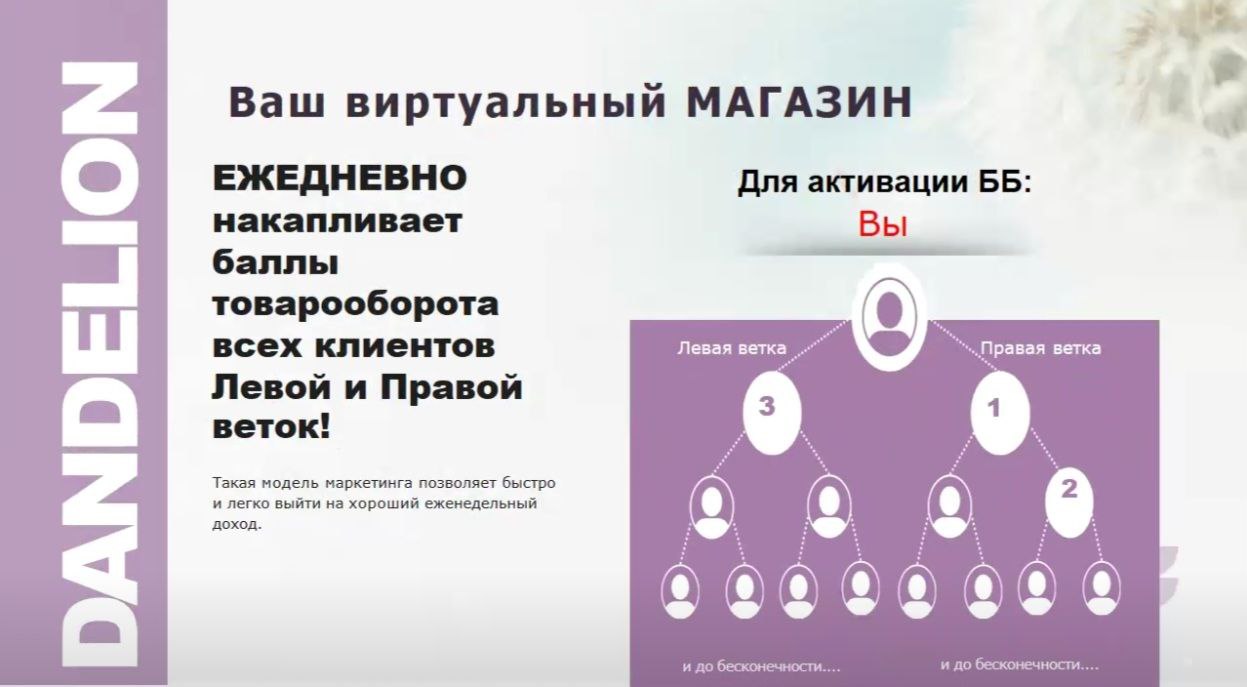 данделион маркетинг план dandelion партнерская программа компенсационный план данделион маркетинг план dandelion партнерская программа компенсационный план