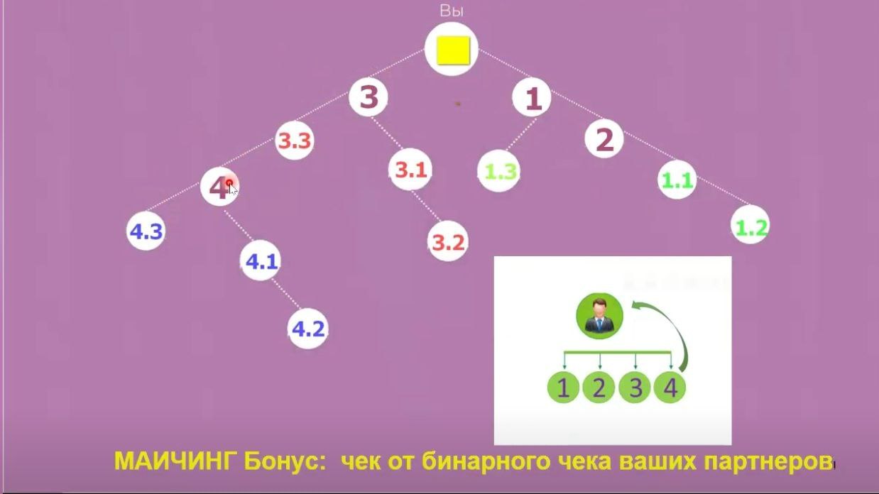 данделион маркетинг план dandelion партнерская программа компенсационный план данделион маркетинг план dandelion партнерская программа компенсационный план